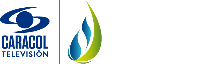 PREMIO A LA PROTECCION DEL MEDIO AMBIENTE
